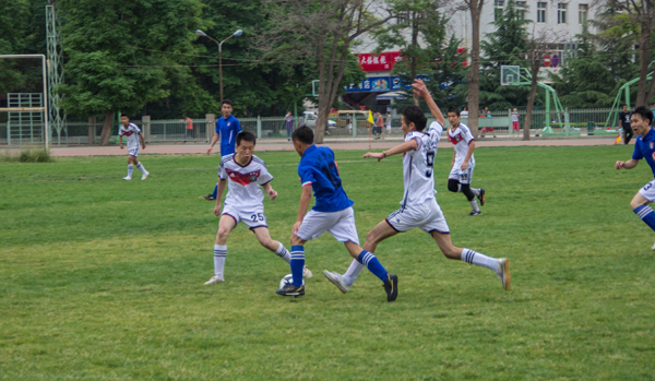 舒马赫以无 舒马赫以无